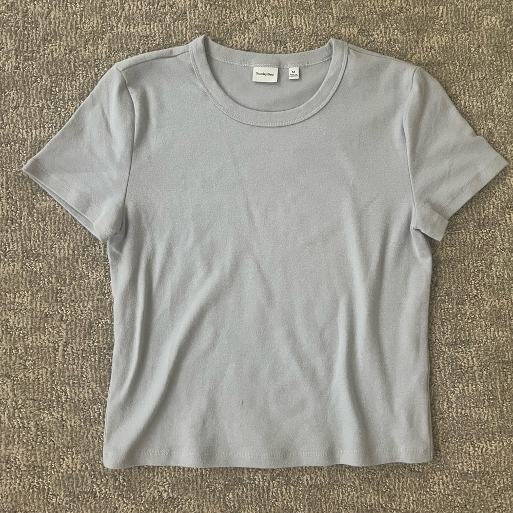 Aritzia Sunday Best Light Greyish Blue BestHug™ Little Ribbed T-Shirt